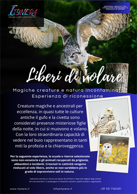 Liberi di volare Liberi di volare